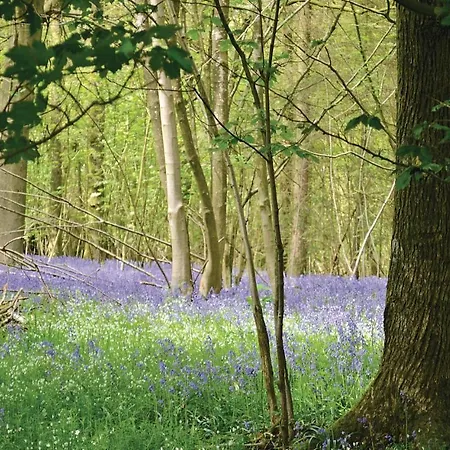 Stunning In Saint Andre * Gouy-Saint-André